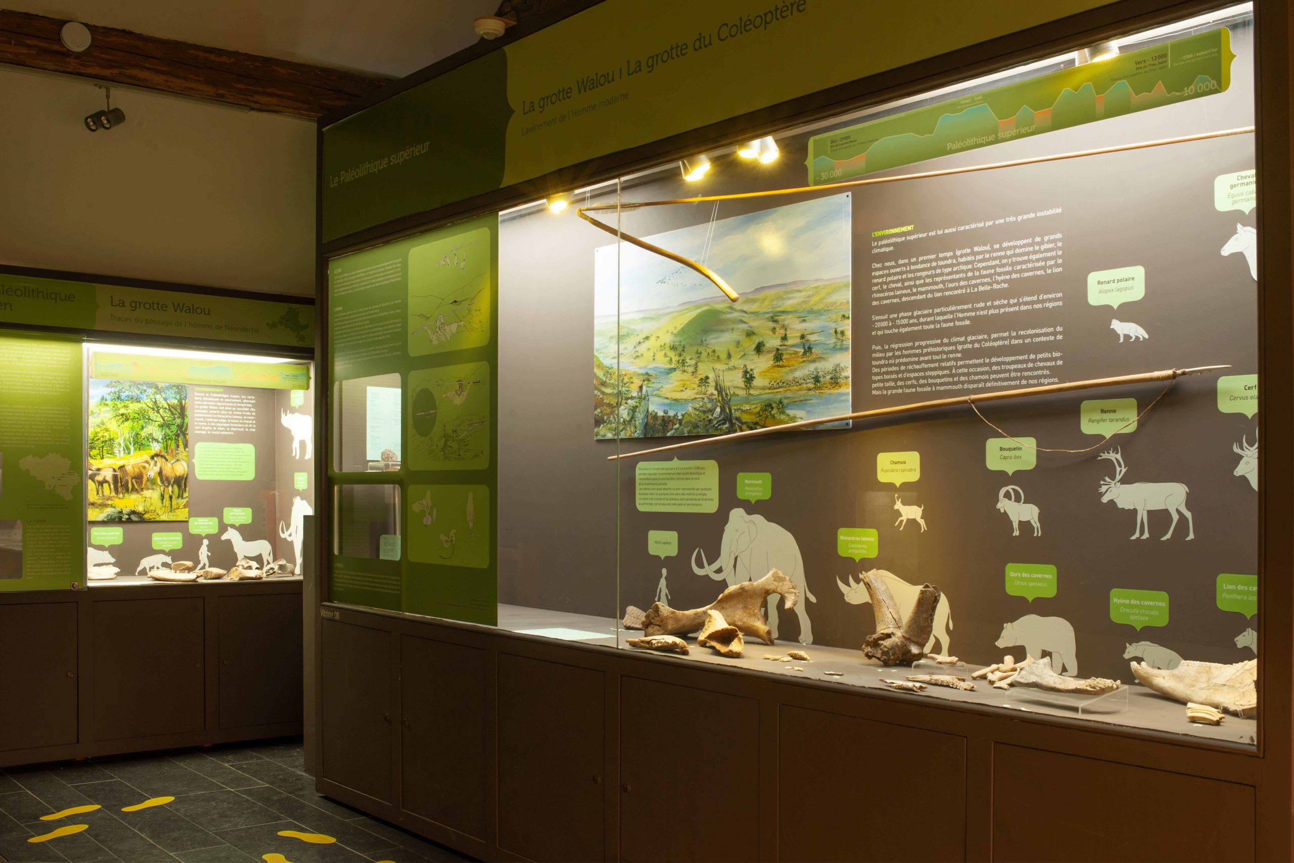 Vitrine du musée